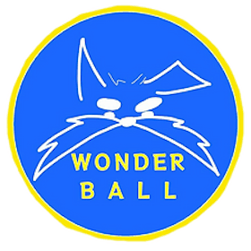 株式会社WONDER BALL